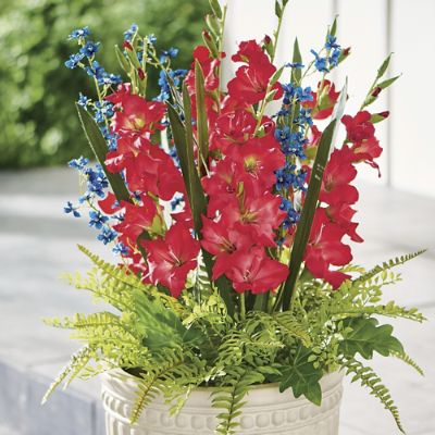 Summer Gladiolus Urn Filler | Grandin Road