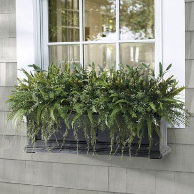 Mixed Herb Window Box Filler | Grandin Road