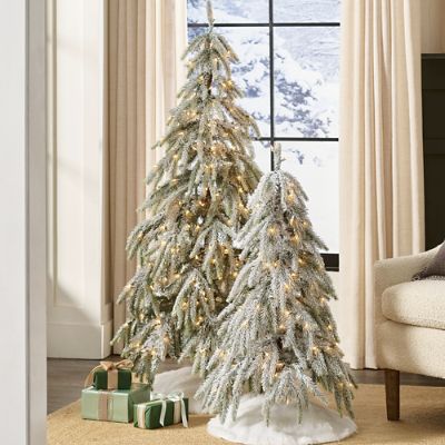 Downswept christmas tree sales