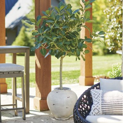 シェーンボーデン Jaxon Planter | Grandin Road