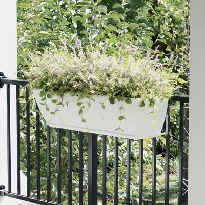 3' Adrienne Window Planter | Grandin Road