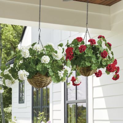 Geranium Hanging Basket | Grandin Road