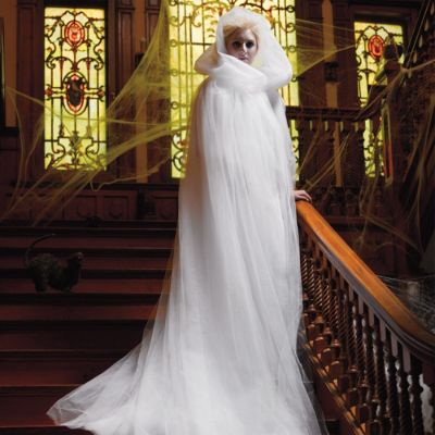 Martha Stewart Ghost Costume | Grandin Road