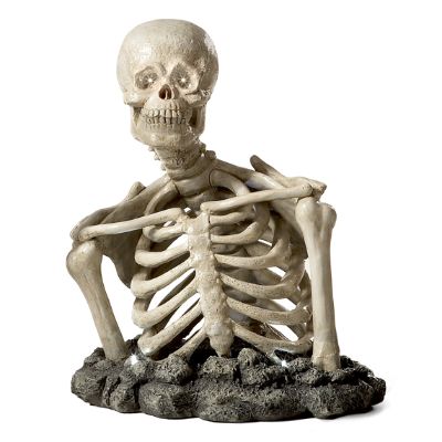 Martha outlets stewart skeleton