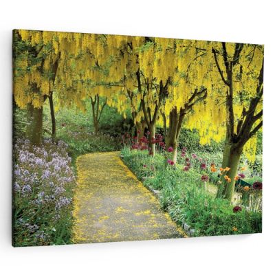 Goldenchain Tree Outdoor Wall Art Grandin Road