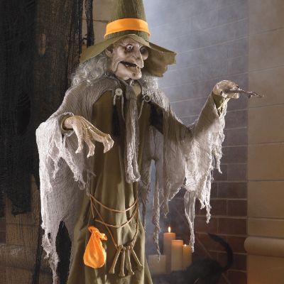 Grandin Road Witches
 Life size Animated Spell Casting Witch Halloween Figure