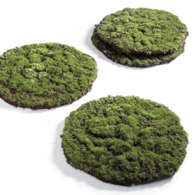 Set of Four Round Moss Placemats Grandin Road