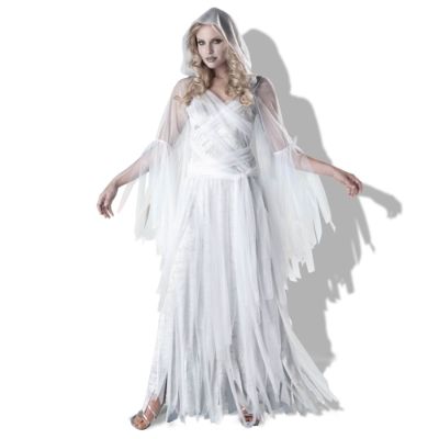 Haunting Beauty Costume Grandin Road