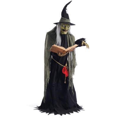 Life-size Spell Casting Witch Animated Figure | Grandin Road