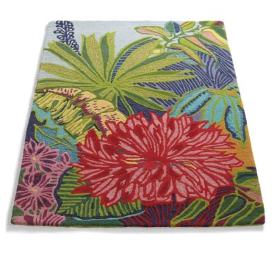 Captiva Area Rug Grandin Road