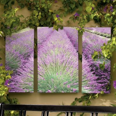Lavender Rows Triptych Outdoor Art Grandin Road