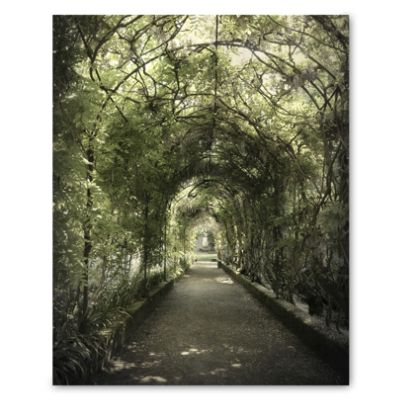 Pathway Framed Outdoor Canvas Print Grandin Road
