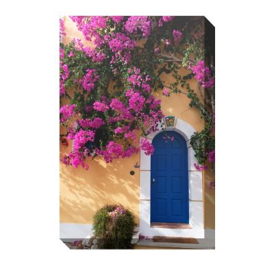 The Blue Door Outdoor Canvas Art | Grandin Road