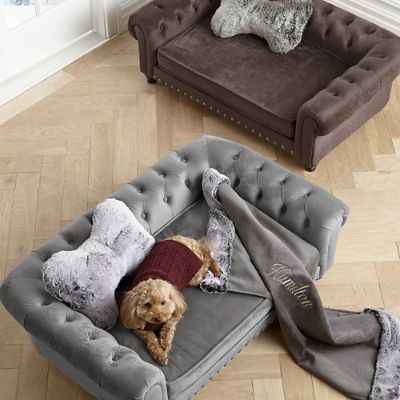 Gray dog online sofa