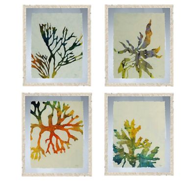 Seaweed Wall Art Grandin Road