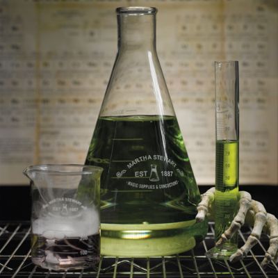 Martha Stewart Halloween Chemistry Drinkware Grandin Road